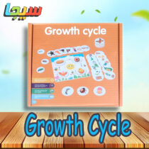 Growth Cycle